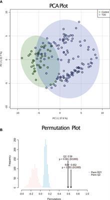 Integrative analysis reveals novel associations between DNA methylation and the serum metabolome of adolescents with type 2 diabetes: A cross-sectional study